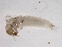  ( - BIOUG04849-H06)  @13 [ ] CreativeCommons - Attribution (2013) Trevor Bringloe Centre for Biodiversity Genomics