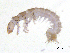  ( - BIOUG06971-D04)  @13 [ ] CreativeCommons - Attribution (2013) Trevor Bringloe Centre for Biodiversity Genomics