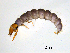  ( - BIOUG07062-E11)  @11 [ ] CreativeCommons - Attribution (2013) Trevor Bringloe Centre for Biodiversity Genomics