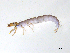  ( - BIOUG07980-E10)  @11 [ ] CreativeCommons - Attribution (2013) Trevor Bringloe Centre for Biodiversity Genomics