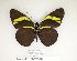  ( - AO-2018-068)  @11 [ ] CCby (2024) Mohamed Benmesbah Research collection of M. Benmesbah