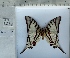  ( - PRO-GF-05)  @11 [ ] CC-by (2023) Mohamed Benmesbah Research Collection of Mohamed Benmesbah