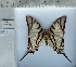  ( - PRO-GF-09)  @11 [ ] CC-by (2023) Mohamed Benmesbah Research Collection of Mohamed Benmesbah
