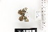  ( - SOR-18-01b)  @11 [ ] CCby (2024) Mohamed Benmesbah Research collection of M. Benmesbah