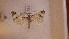  ( - LepVM1109)  @12 [ ] CreativeCommons - Attribution Non-Commercial Share-Alike (2014) NTNU University Museum, Department of Natural History NTNU University Museum, Department of Natural History