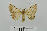  ( - RMNH.5010011)  @13 [ ] CreativeCommons - Attribution Non-Commercial Share-Alike (2014) Unspecified Naturalis, Biodiversity Centre