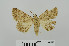  ( - RMNH.5010012)  @13 [ ] CreativeCommons - Attribution Non-Commercial Share-Alike (2014) Unspecified Naturalis, Biodiversity Centre