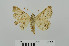  ( - RMNH.5010018)  @13 [ ] CreativeCommons - Attribution Non-Commercial Share-Alike (2014) Unspecified Naturalis, Biodiversity Centre