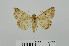  ( - RMNH.5010019)  @13 [ ] CreativeCommons - Attribution Non-Commercial Share-Alike (2014) Unspecified Naturalis, Biodiversity Centre