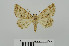  ( - RMNH.5010020)  @13 [ ] CreativeCommons - Attribution Non-Commercial Share-Alike (2014) Unspecified Naturalis, Biodiversity Centre
