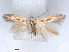  ( - RMNH.5010100)  @11 [ ] CreativeCommons - Attribution Non-Commercial Share-Alike (2014) Unspecified Naturalis, Biodiversity Centre