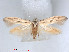  ( - RMNH.5010102)  @11 [ ] CreativeCommons - Attribution Non-Commercial Share-Alike (2014) Unspecified Naturalis, Biodiversity Centre