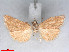  ( - RMNH.5010114)  @14 [ ] CreativeCommons - Attribution Non-Commercial Share-Alike (2014) Unspecified Naturalis, Biodiversity Centre