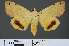  ( - RMNH.INS.14300)  @14 [ ] CreativeCommons - Attribution Non-Commercial Share-Alike (2012) Unspecified Naturalis, Biodiversity Centre