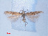  ( - RMNH.INS.540518)  @11 [ ] CreativeCommons - Attribution Non-Commercial Share-Alike (2012) Unspecified Naturalis, Biodiversity Centre
