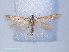  ( - RMNH.INS.540521)  @11 [ ] CreativeCommons - Attribution Non-Commercial Share-Alike (2012) Unspecified Naturalis, Biodiversity Centre