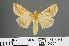  ( - RMNH.INS.543854)  @12 [ ] CreativeCommons - Attribution Non-Commercial Share-Alike (2012) Unspecified Naturalis, Biodiversity Centre