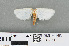  ( - RMNH.INS.543914)  @12 [ ] CreativeCommons - Attribution Non-Commercial Share-Alike (2012) Unspecified Naturalis, Biodiversity Centre