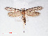  ( - RMNH.INS.548466)  @11 [ ] CreativeCommons - Attribution Non-Commercial Share-Alike (2012) Unspecified Naturalis, Biodiversity Centre