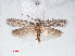  ( - RMNH.INS.548467)  @11 [ ] CreativeCommons - Attribution Non-Commercial Share-Alike (2012) Unspecified Naturalis, Biodiversity Centre