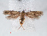  ( - RMNH.INS.548486)  @12 [ ] CreativeCommons - Attribution Non-Commercial Share-Alike (2012) Unspecified Naturalis, Biodiversity Centre