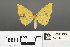  ( - RMNH.INS.539251)  @11 [ ] CreativeCommons - Attribution Non-Commercial Share-Alike (2013) Unspecified Naturalis, Biodiversity Centre