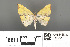  ( - RMNH.INS.539251)  @11 [ ] CreativeCommons - Attribution Non-Commercial Share-Alike (2013) Unspecified Naturalis, Biodiversity Centre