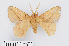 ( - RMNH.INS.549974)  @11 [ ] CreativeCommons - Attribution Non-Commercial Share-Alike (2012) Unspecified Naturalis, Biodiversity Centre
