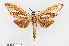  ( - RMNH.INS.549997)  @11 [ ] CreativeCommons - Attribution Non-Commercial Share-Alike (2012) Unspecified Naturalis, Biodiversity Centre