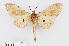  ( - RMNH.INS.550000)  @11 [ ] CreativeCommons - Attribution Non-Commercial Share-Alike (2012) Unspecified Naturalis, Biodiversity Centre