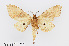  ( - RMNH.INS.550001)  @11 [ ] CreativeCommons - Attribution Non-Commercial Share-Alike (2012) Unspecified Naturalis, Biodiversity Centre