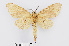  ( - RMNH.INS.550002)  @11 [ ] CreativeCommons - Attribution Non-Commercial Share-Alike (2012) Unspecified Naturalis, Biodiversity Centre