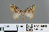  ( - RMNH.INS.540064)  @11 [ ] CreativeCommons - Attribution Non-Commercial Share-Alike (2013) Unspecified Naturalis, Biodiversity Centre