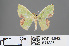  ( - RMNH.INS.541326)  @11 [ ] CreativeCommons - Attribution Non-Commercial Share-Alike (2013) Unspecified Naturalis, Biodiversity Centre