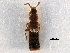 ( - CCDB-28935-E05)  @11 [ ] CreativeCommons - Attribution (2015) CBG Photography Group Centre for Biodiversity Genomics