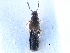 ( - CCDB-28935-G05)  @11 [ ] CreativeCommons - Attribution (2015) CBG Photography Group Centre for Biodiversity Genomics