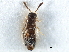  ( - CCDB-28936-C06)  @11 [ ] CreativeCommons - Attribution (2015) CBG Photography Group Centre for Biodiversity Genomics