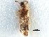  ( - CCDB-28936-D04)  @11 [ ] CreativeCommons - Attribution (2015) CBG Photography Group Centre for Biodiversity Genomics