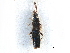  ( - CCDB-28936-D10)  @11 [ ] CreativeCommons - Attribution (2015) CBG Photography Group Centre for Biodiversity Genomics