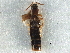  ( - CCDB-28936-E07)  @11 [ ] CreativeCommons - Attribution (2015) CBG Photography Group Centre for Biodiversity Genomics