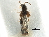  ( - CCDB-28936-E12)  @11 [ ] CreativeCommons - Attribution (2015) CBG Photography Group Centre for Biodiversity Genomics