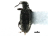  ( - CCDB-28937-B04)  @11 [ ] CreativeCommons - Attribution (2015) CBG Photography Group Centre for Biodiversity Genomics