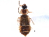  ( - CCDB-28937-D10)  @11 [ ] CreativeCommons - Attribution (2015) CBG Photography Group Centre for Biodiversity Genomics