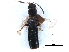  ( - CCDB-28976-B08)  @13 [ ] CreativeCommons - Attribution (2015) CBG Photography Group Centre for Biodiversity Genomics