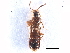  ( - CCDB-28976-C12)  @11 [ ] CreativeCommons - Attribution (2015) CBG Photography Group Centre for Biodiversity Genomics