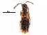  ( - CCDB-30578-A10)  @11 [ ] CreativeCommons - Attribution (2017) CBG Photography Group Centre for Biodiversity Genomics