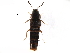  ( - CCDB-30578-A12)  @11 [ ] CreativeCommons - Attribution (2017) CBG Photography Group Centre for Biodiversity Genomics