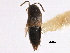  ( - CCDB-23525-A11)  @11 [ ] CreativeCommons - Attribution (2014) CBG Photography Group Centre for Biodiversity Genomics