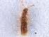  ( - CCDB-23525-E05)  @11 [ ] CreativeCommons - Attribution (2014) CBG Photography Group Centre for Biodiversity Genomics
