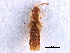  ( - CCDB-23525-E06)  @11 [ ] CreativeCommons - Attribution (2014) CBG Photography Group Centre for Biodiversity Genomics